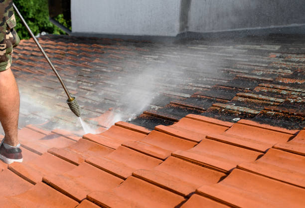 Best Pressure Washing Company Near Me  in Peabody, MA